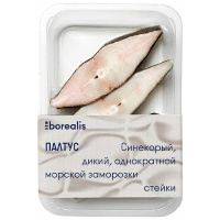 ����� ������� Borealis ��������������� 400 ��